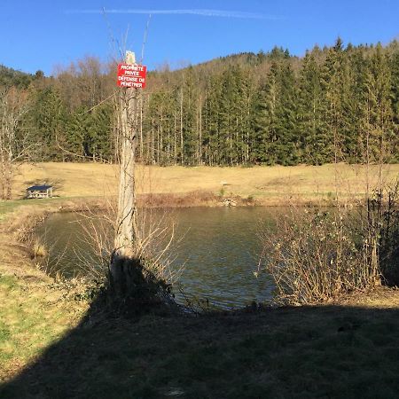 Gite Grand Standing Dans Cadre Idyllique Villa Saint-Etienne-les-Remiremont Екстериор снимка