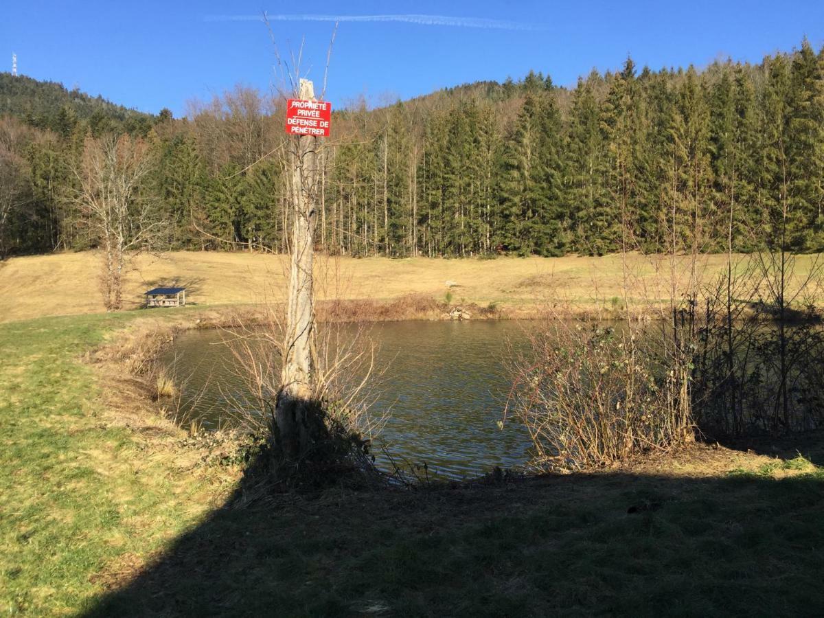 Gite Grand Standing Dans Cadre Idyllique Villa Saint-Etienne-les-Remiremont Екстериор снимка